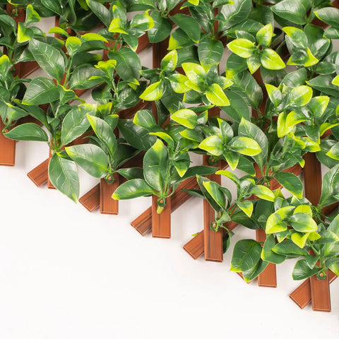 close up image of the Artificial Jasmine Hedge Extendable Trellis Screen 2m x 1m UV Stabilised on a white background
