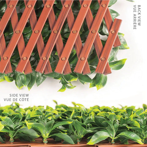 Side and back views of the Artificial Jasmine Hedge Extendable Trellis Screen