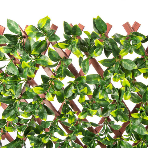 top view of the Artificial Jasmine Hedge Extendable Trellis Screen 2m x 1m UV Stabilised