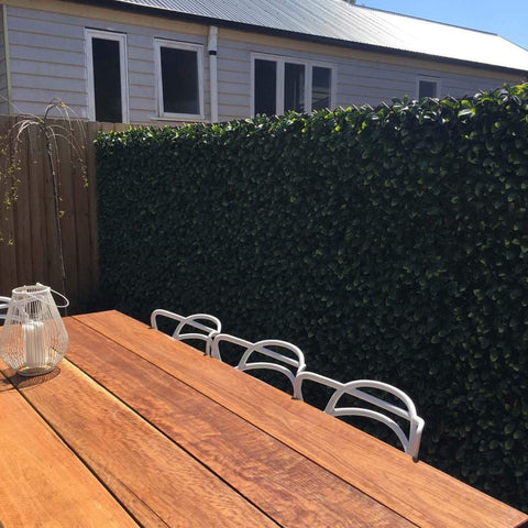 Artificial Jasmine Hedge Extendable Trellis Screen installed on a patio fence with a wooden table in the foregound