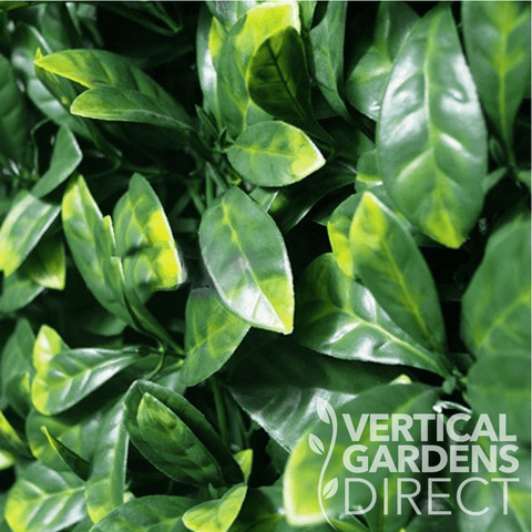 Artificial Laurel Leaf Close Up Showing Green Colours and Textures