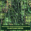 Image of Rear metal frame of the Artificial Lush Forest 1m x 1m Plant Wall Panel UV Stabilised