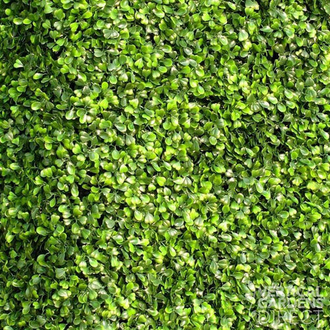 Artificial Mixed Boxwood Freestanding Hedge 1m x 50cm x 30cm UV Stabilised