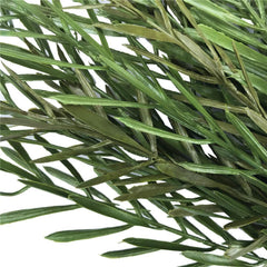 OPEN BOX OF 25pcs Artificial Native Tea Tree Grass 45cm UV Stabilised Plant Stems