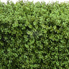 Image of Artificial Natural Buxus Freestanding Hedge 1m x 1m x 30cm UV Stabilised