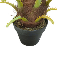 Artificial Phoenix Date Palm Tree - 80cm
