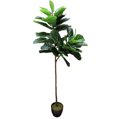 Artificial Tall Fiddle Leaf Fig Tree 170cm