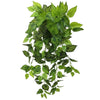 Image of Artificial Variegated Philodendron Hanging Plants 100cm Bulk Pack of 12