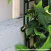 Image of Artificial White Oasis Vertical Garden Sample