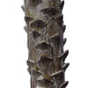 Image of Tropical Phoenix Artificial Potted Palm Tree 190cm UV Resistant