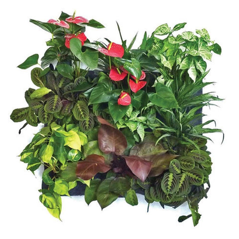 FLORAFELT 12 POCKET MODULAR PLEATED FELT VERTICAL GARDEN