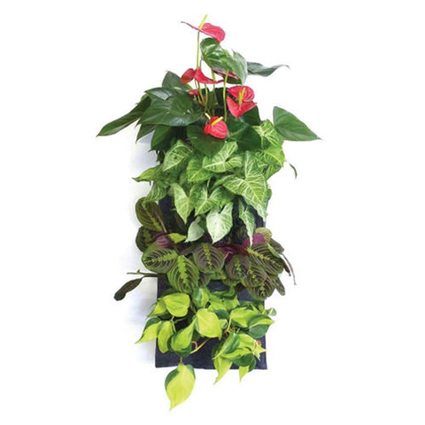FLORAFELT 4 POCKET MODULAR PLEATED FELT VERTICAL GARDEN