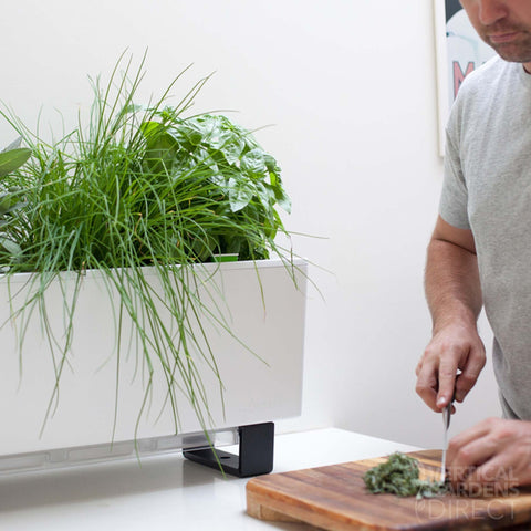 Glowpear Mini Bench Self Watering Vertical Garden Planter Box