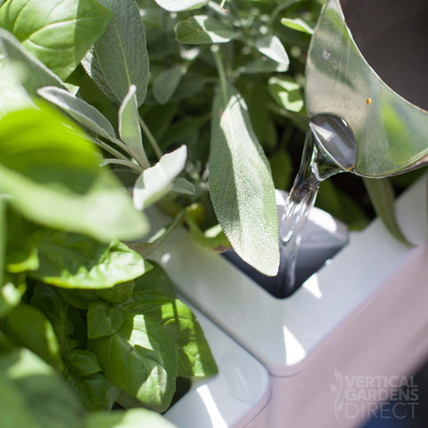 Glowpear Mini Wall Self Watering Vertical Garden Planter Box