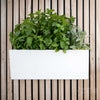 Image of Glowpear Mini Wall Self Watering Vertical Garden Planter Box