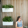 Image of Glowpear Mini Wall Self Watering Vertical Garden Planter Box
