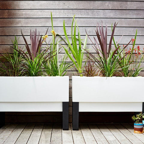 Glowpear Urban Garden Self Watering Planter Box