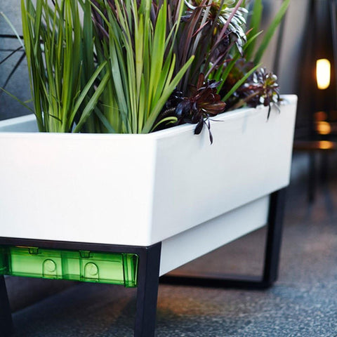 Glowpear Urban Garden Self Watering Planter Box