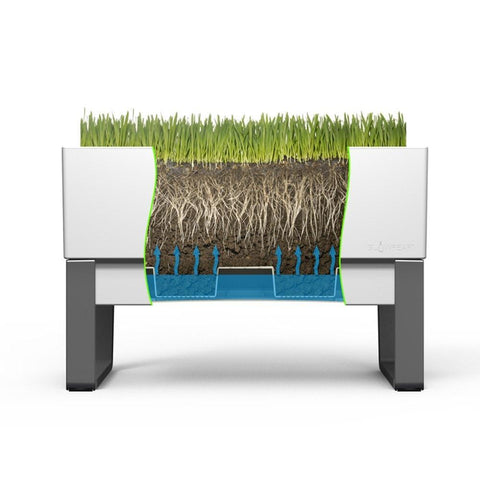 Glowpear Urban Garden Self Watering Planter Box