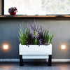 Image of Glowpear Urban Garden Self Watering Planter Box