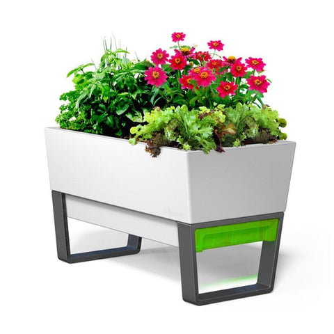 Glowpear Urban Garden Self Watering Planter Box