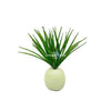 Image of Grass Stem