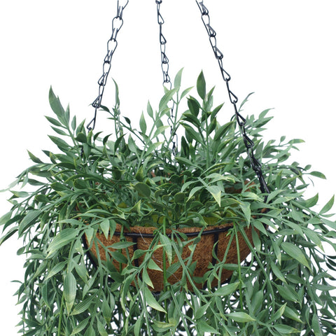 Hanging Basket With Artificial Trailing Bamboo Leaf - UV Stabilised 110cm