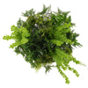 Image of Hanging Gold Disc With Artificial UV Stabilised Foliage 80cm