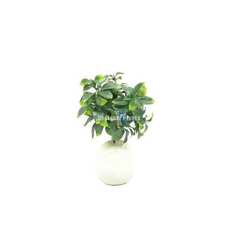 Jasmine Stem