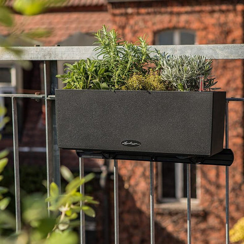 Lechuza BALCONERA Stone 50