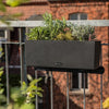 Image of Lechuza BALCONERA Stone 50