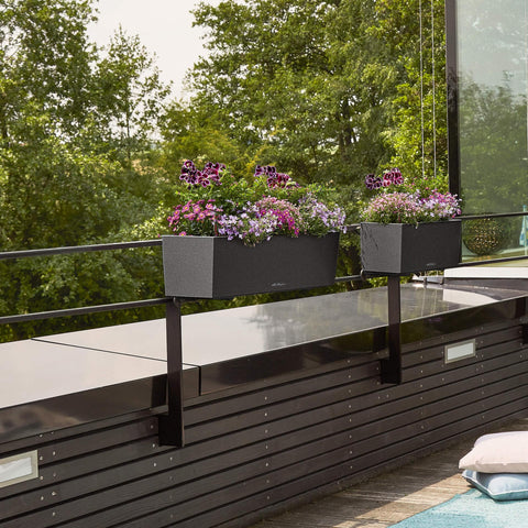 Lechuza BALCONERA Stone 50
