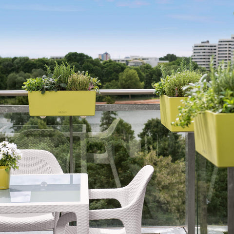 Lechuza Balconera 50 Self Watering Pot - 50cm