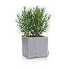Image of Lechuza CANTO Stone 14