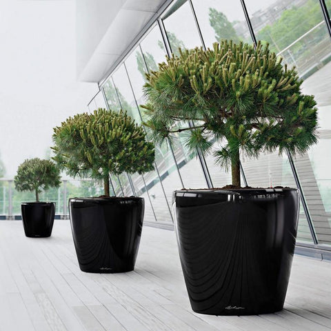 Lechuza CLASSICO 70 Premium - Planter Only