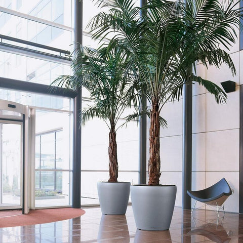 Lechuza CLASSICO 70 Premium - Planter Only