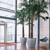 Image of Lechuza CLASSICO 70 Premium - Planter Only