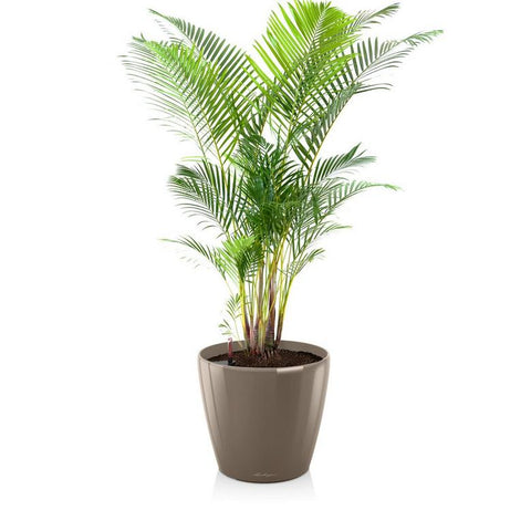 Lechuza CLASSICO 70 Premium - Planter Only