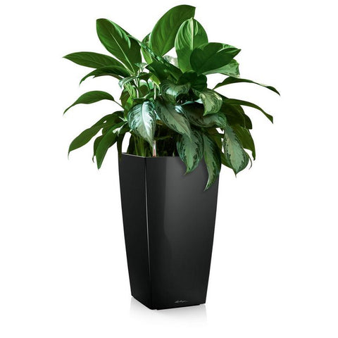 Lechuza CUBICO 30 Premium