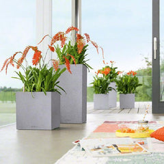Lechuza Canto Cube 30 Self Watering Pot - 30cm