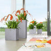 Image of Lechuza Canto Cube 30 Self Watering Pot - 30cm
