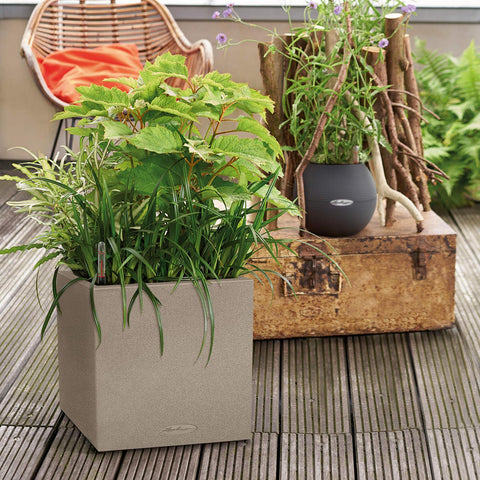 Lechuza Canto Cube 30 Self Watering Pot - 30cm