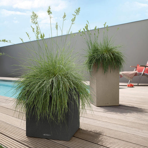 Lechuza Canto Cube 30 Self Watering Pot - 30cm
