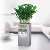 Image of Lechuza Canto Stone 40 Column