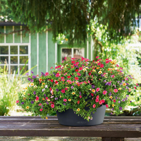 Lechuza Cascada 49cm Self Watering Cascade Planter