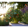 Image of Lechuza Cascadino 36cm Self Watering Cascade Planter