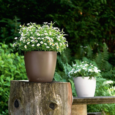Lechuza Classico Colour 21 Self Watering Pot - 21cm