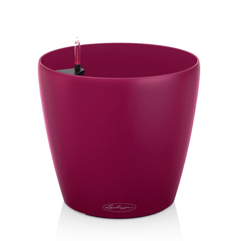 Lechuza Classico Colour 28 Self Watering Pot - 28cm