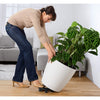 Image of Lechuza Classico Colour 35cm Self Watering Pot - 35cm