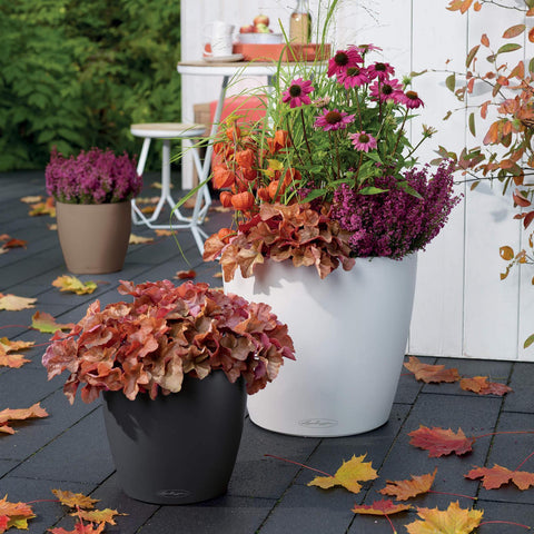 Lechuza Classico Colour 35cm Self Watering Pot - 35cm